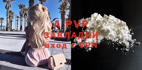 стаф Тында